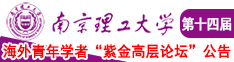 随便操小骚逼的南京理工大学第十四届海外青年学者紫金论坛诚邀海内外英才！